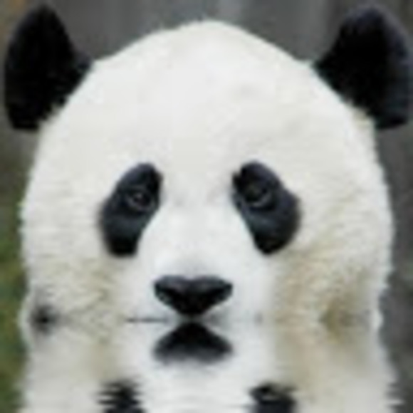 lucypanda002